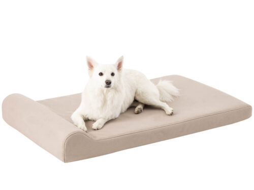 Leo Pet Bed Thor Cream Large
