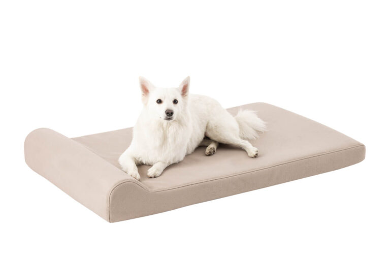 Leo Pet Bed Thor Cream Large